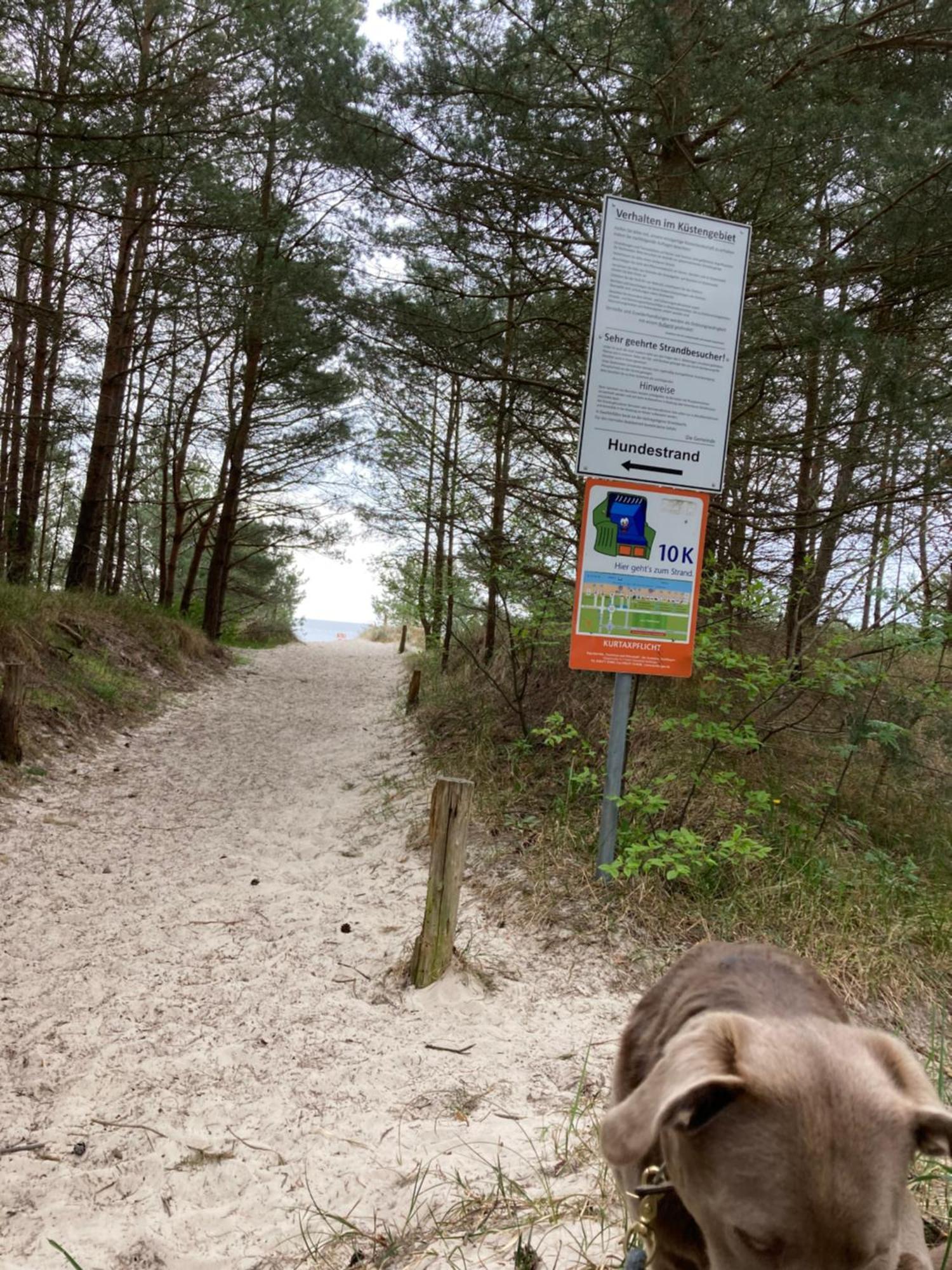 Reet Am Strand Mit Hund Karlshagen Exterior foto